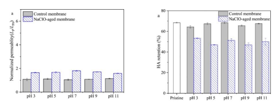 2023-11-02T06:52:07.png 2023-11-02T06:52:07.png