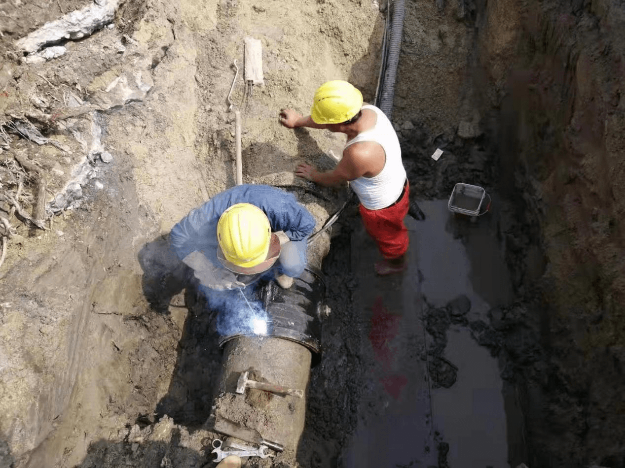 2023-11-01T04:00:04.png 2023-11-01T04:00:04.png